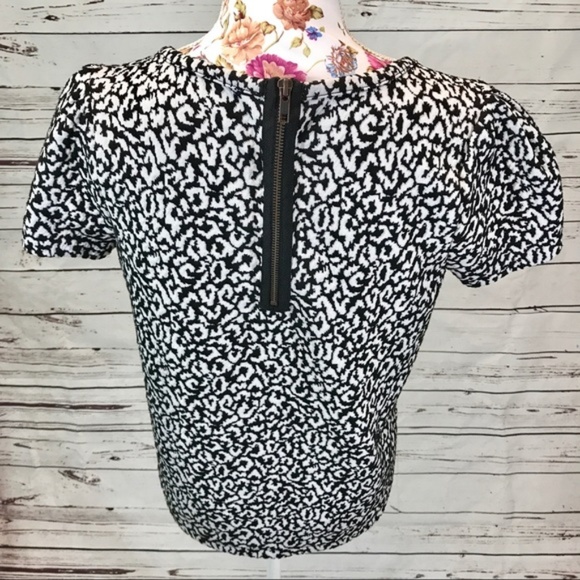 Anthro Postmark Medium Black & White Blouse - Picture 4 of 8